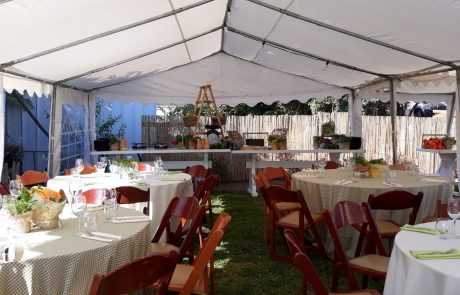 אוהלים וכיסאות